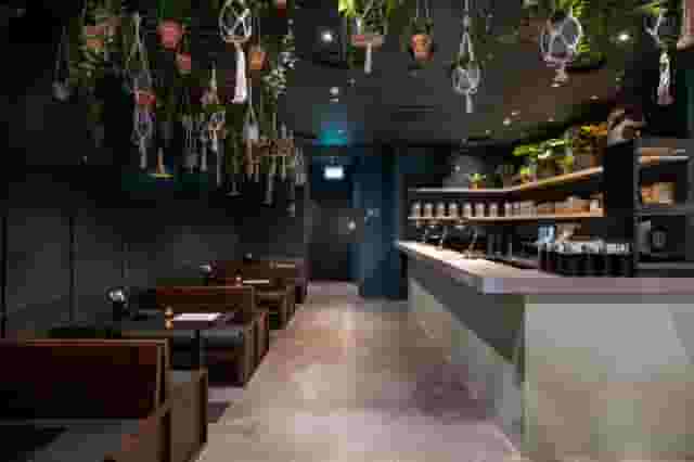 Whole Venue
