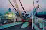 Basement Venues