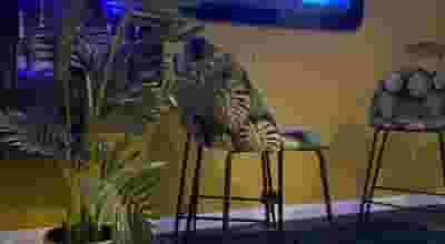 Tribe Urban Studios - Lounge Studio
