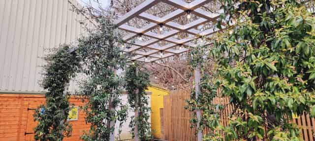 Indra Studios
