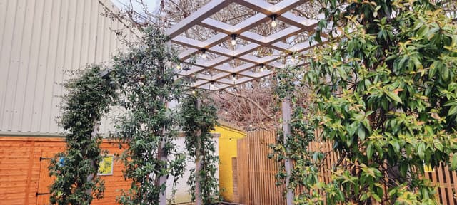 Indra Studios