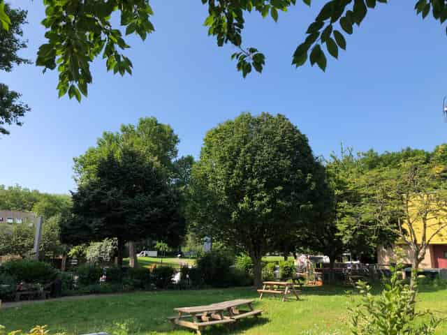 The Garden