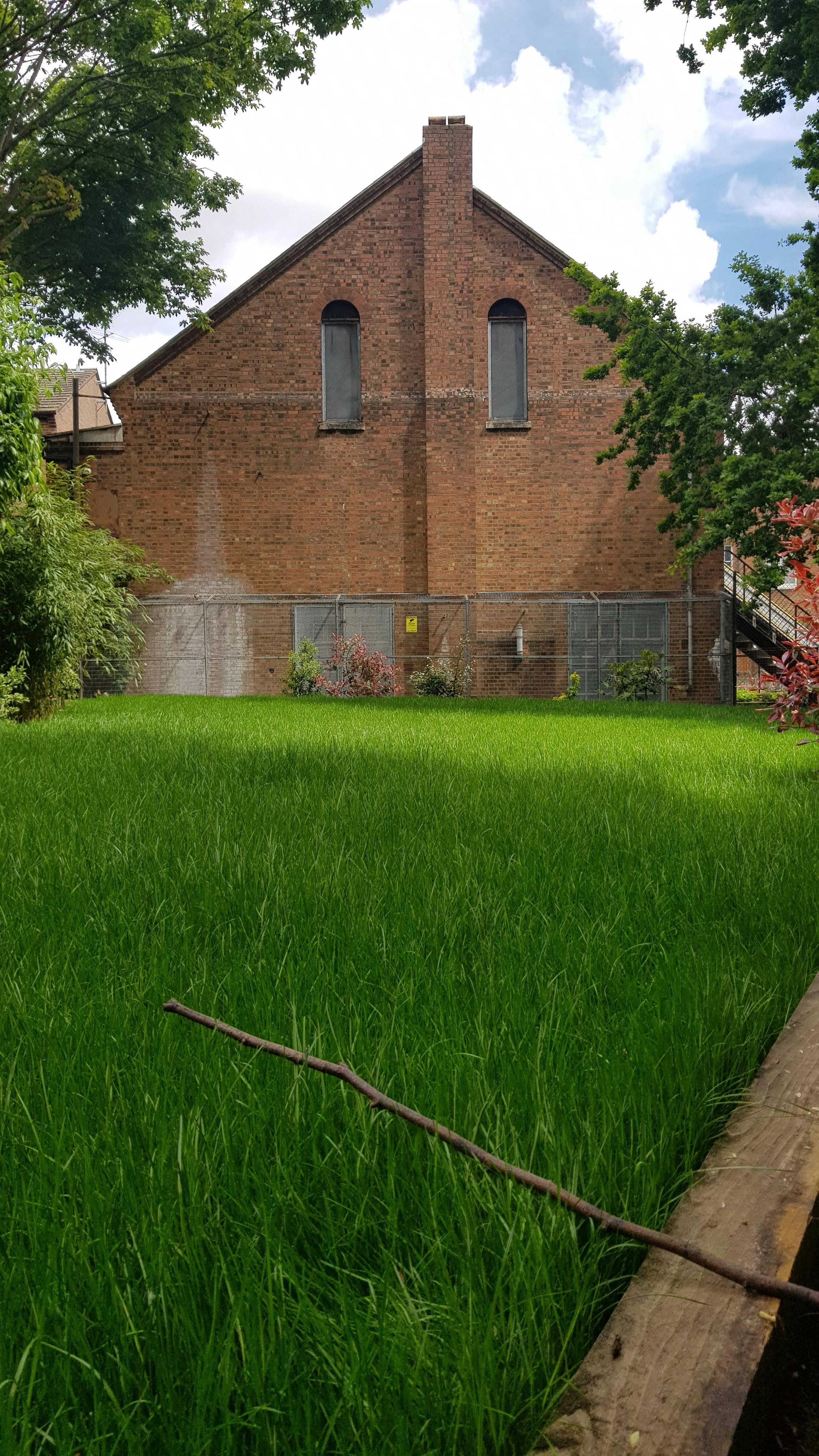 Lush green lawn at Hargrave Hall, perfect for casual gatherings and networking events.