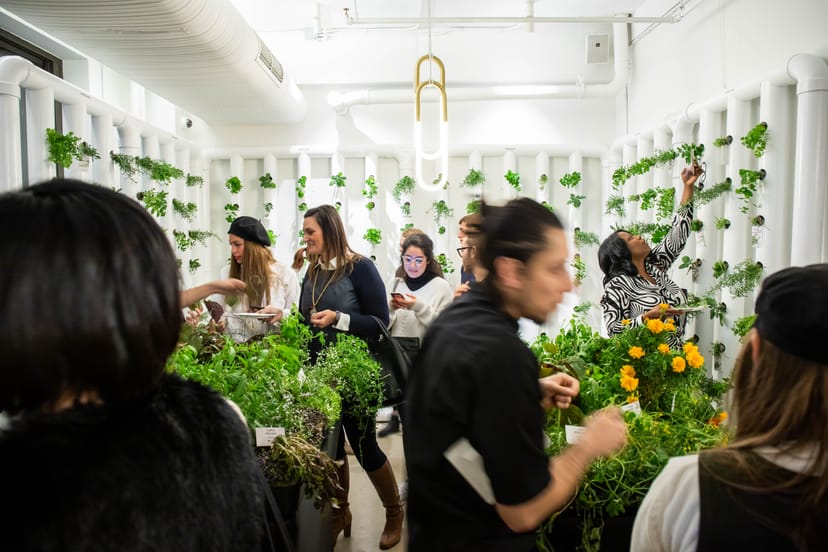 Vibrant event space with lush greenery for workshops and team-building activities.