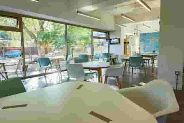 Health Foundry