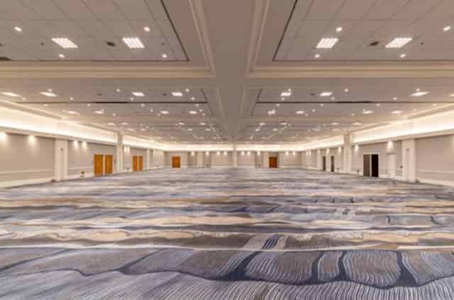 Monarch Suite
