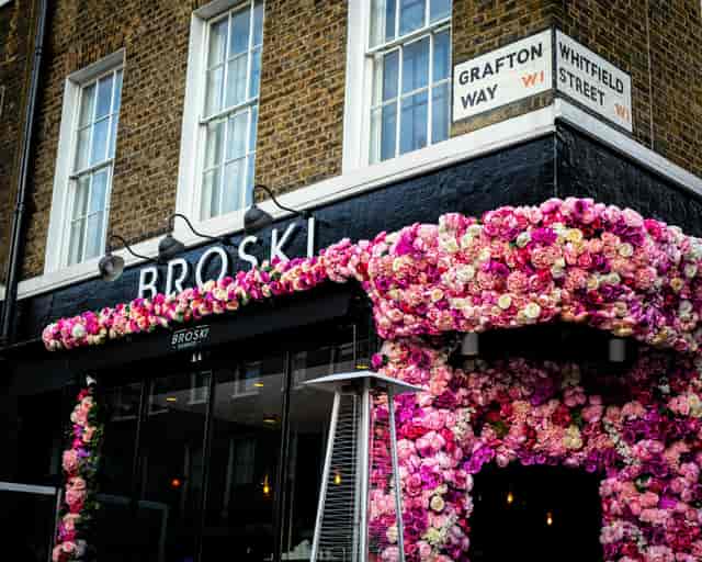 The Bloom