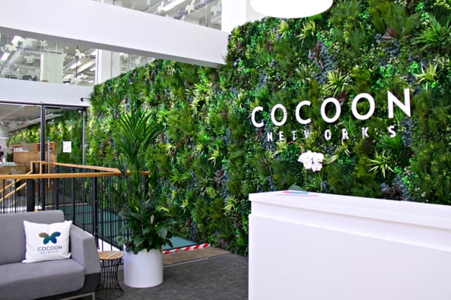 Cocoon Global