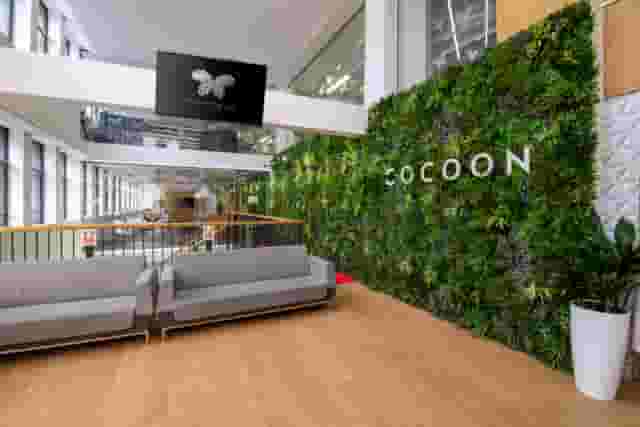 Cocoon Global