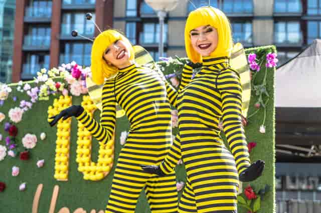 Vibrant bee performers at Stanley Square for family-friendly outdoor events.
