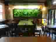 Bar Mitzvahs
