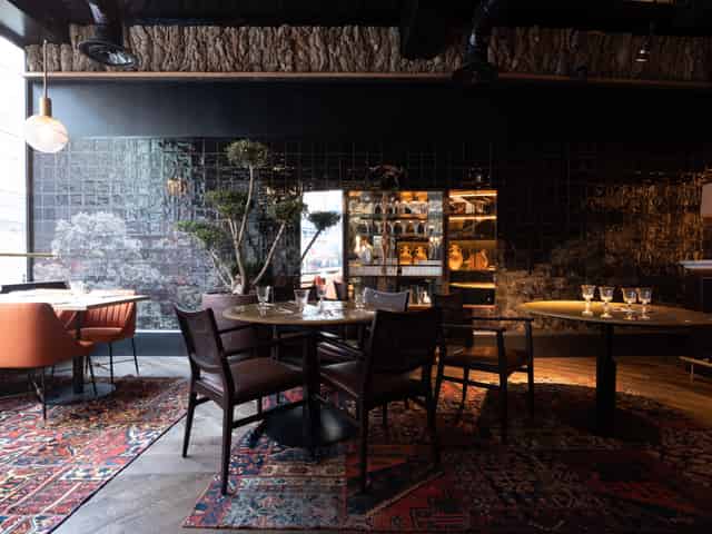 Bird Room