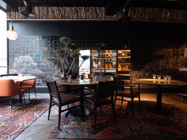 Bird Room