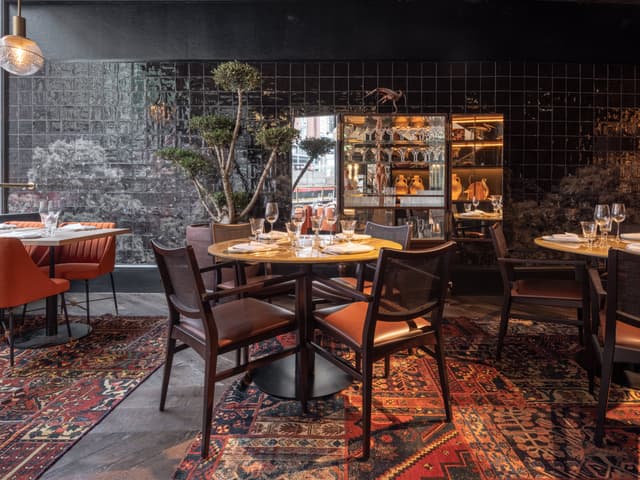 Bird Room