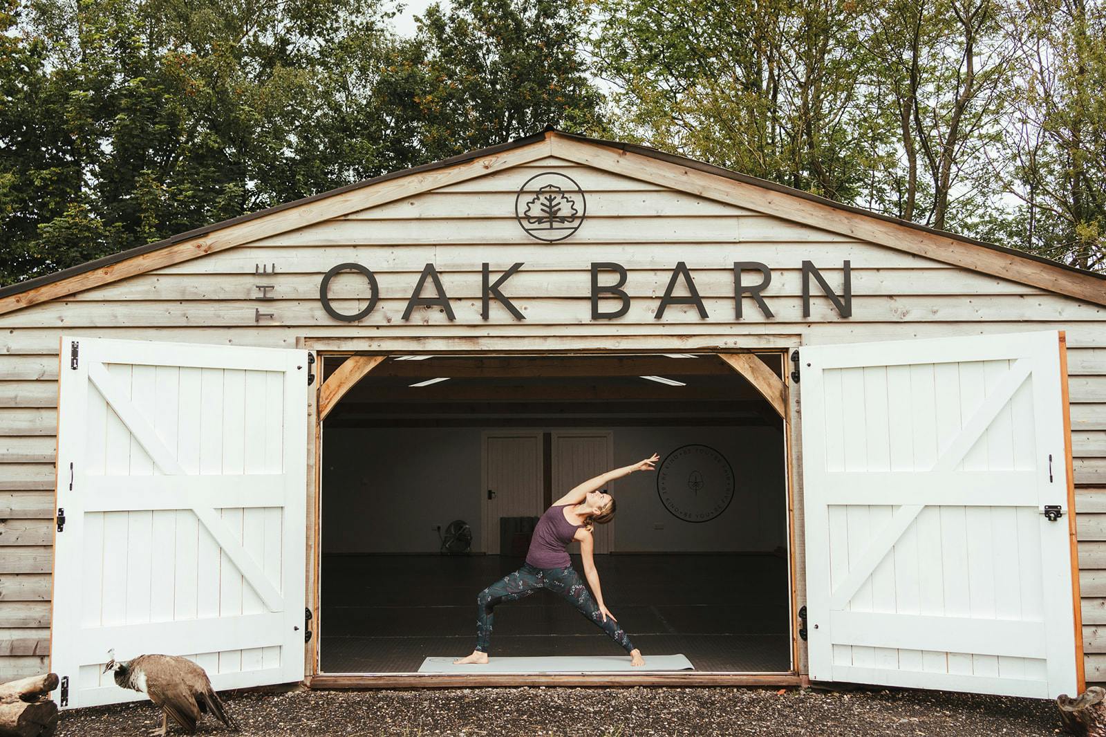 Fair Oak Farm, Mayfield - Farm Hire - Film Location & Product Launches image 1