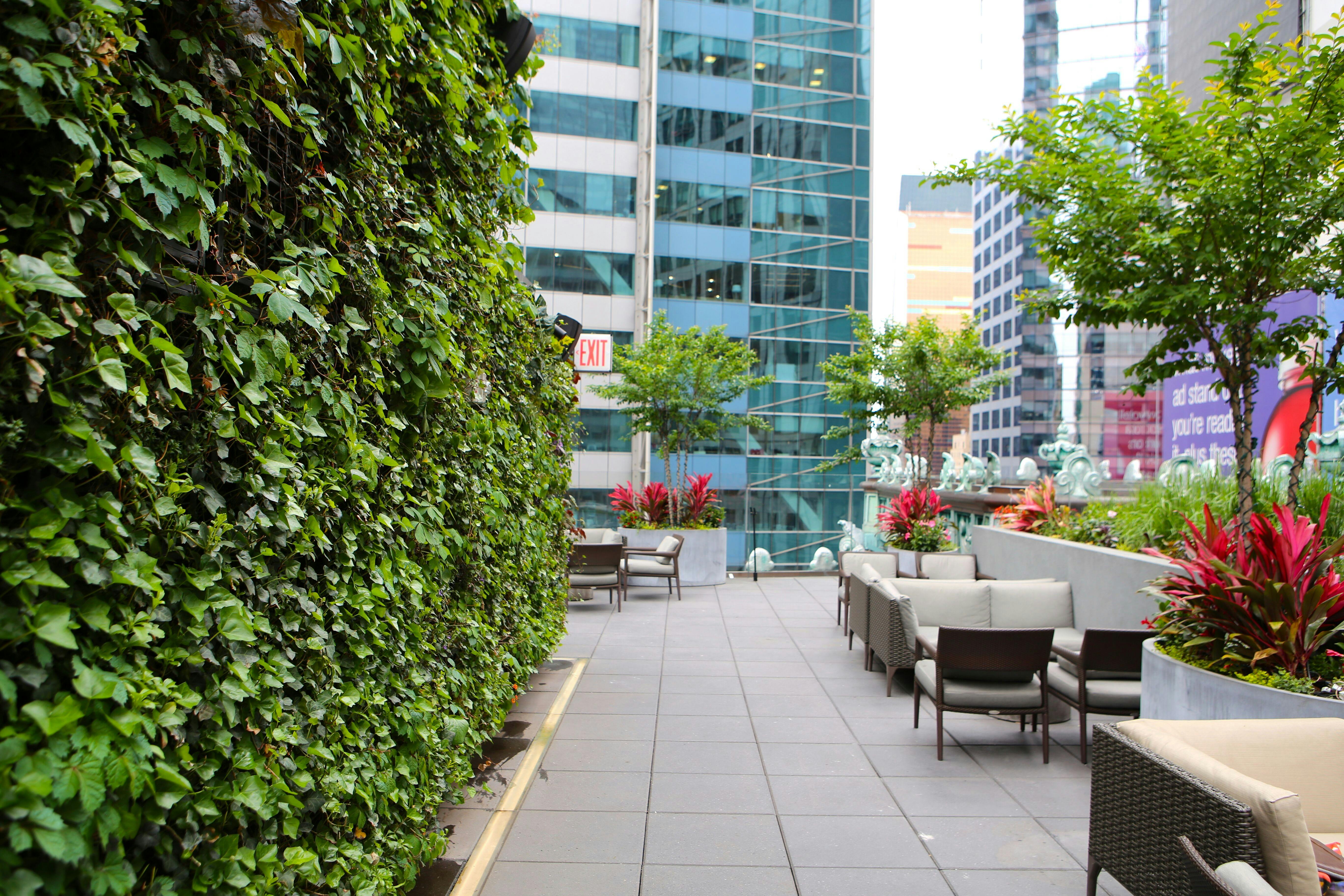 The Knickerbocker - St. Cloud Reserved Outdoor Section with Indoor Back Up image 1