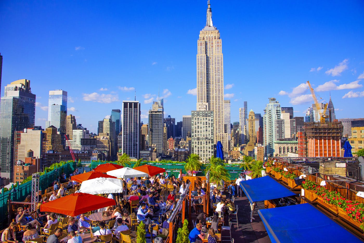 230 Fifth - Rooftop Garden image 1