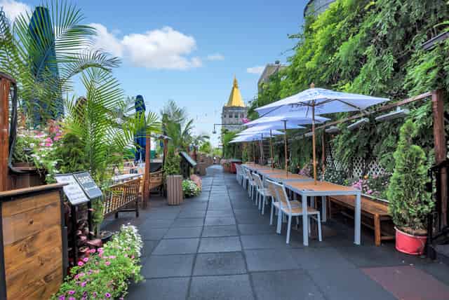 Rooftop Garden