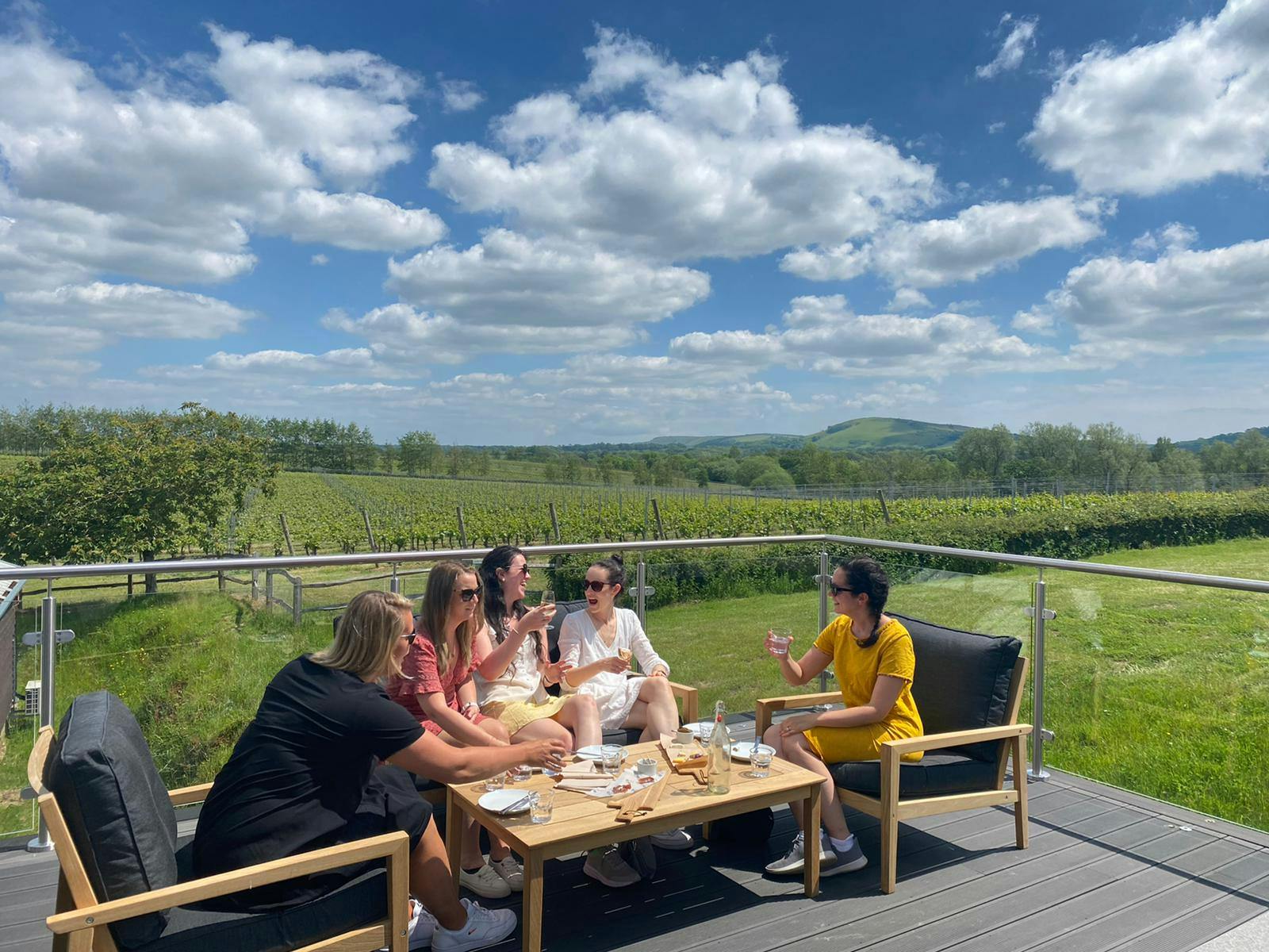 Outdoor networking event at Albourne Estate with scenic vineyard backdrop.