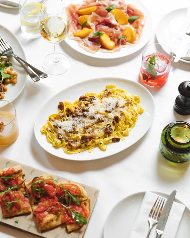 The Italian Greyhound