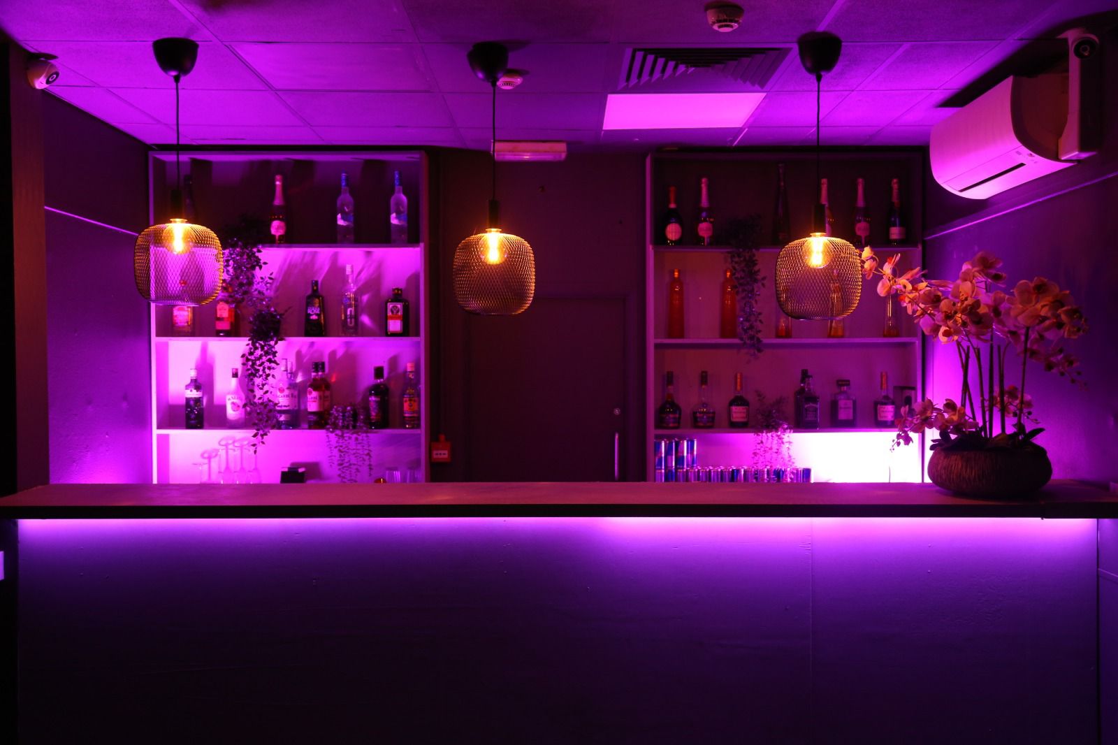 Stylish bar with purple lighting, ideal for cocktail receptions and networking events. - Banner