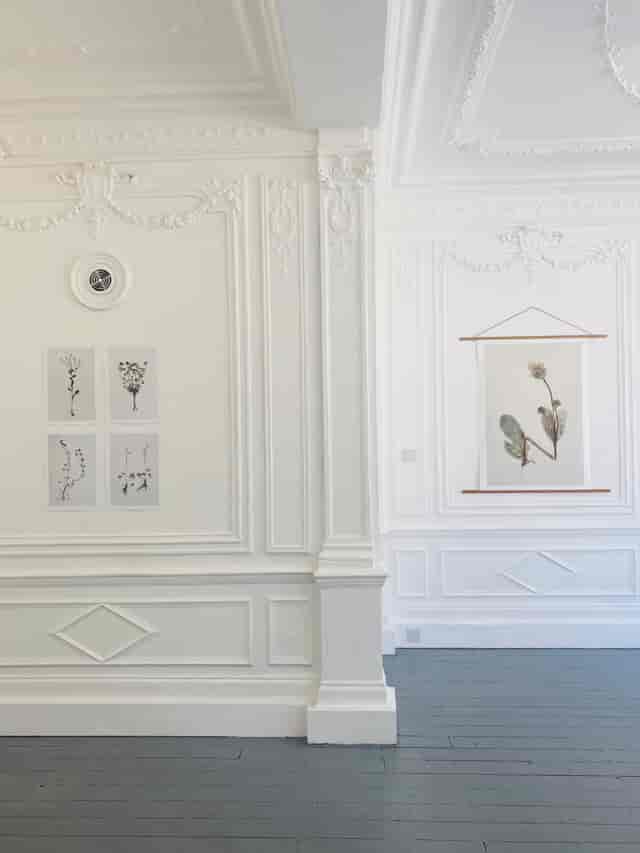 Elegant event space on Saint George Street with botanical artwork, perfect for intimate gatherings.