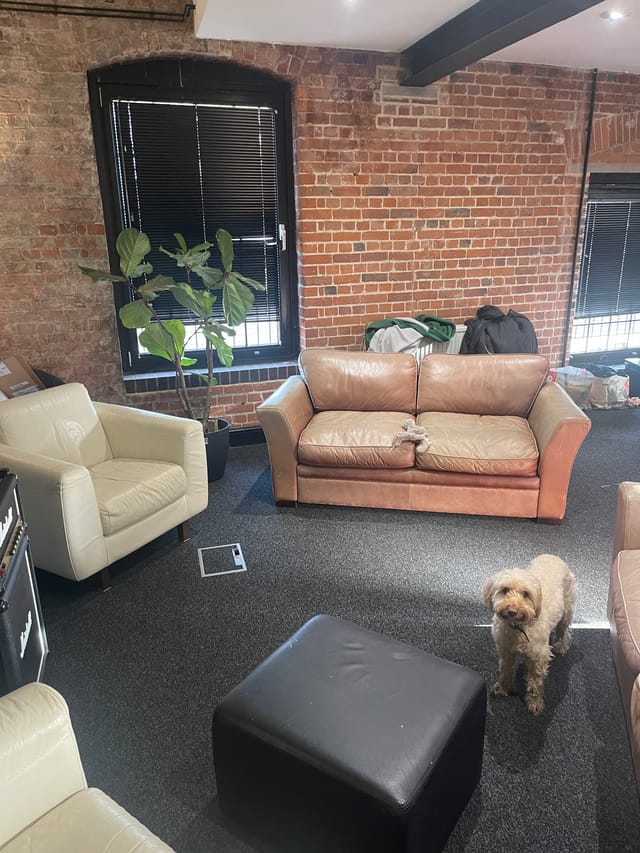 Cozy meeting space with sofas and greenery, perfect for brainstorming sessions.