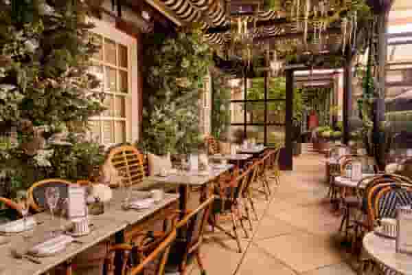 Dalloway Terrace