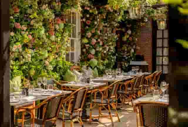 Dalloway Terrace