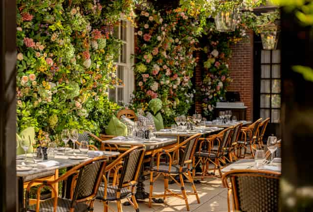 Dalloway Terrace