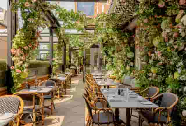 Dalloway Terrace