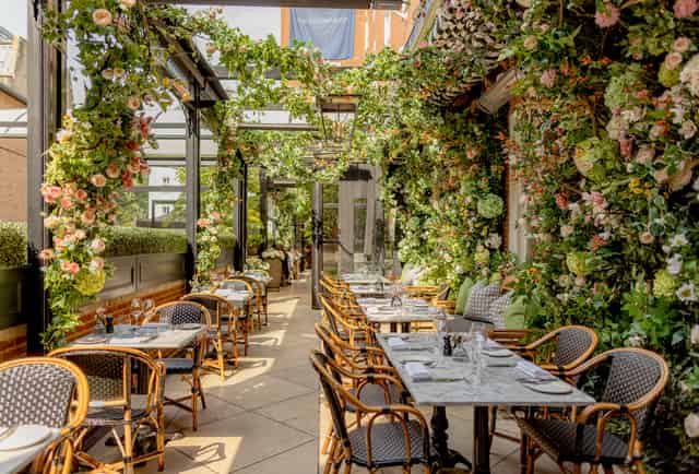 Dalloway Terrace