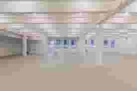 Whole Space