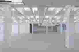 Whole Space