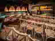 Christmas Party Venues