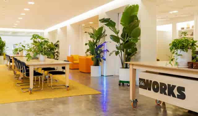 SaksWorks Flagship event space with vibrant greenery for meetings and networking.