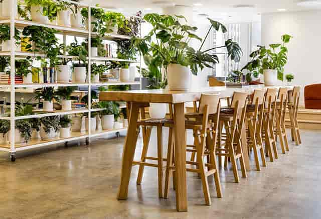 Modern meeting space at SaksWorks Vesey with wooden table and greenery for collaboration.