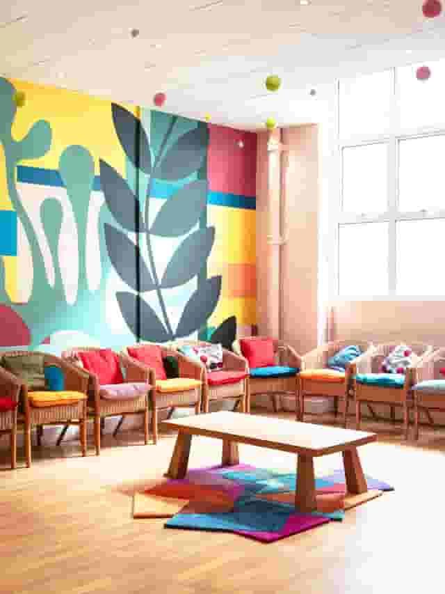 The Matisse