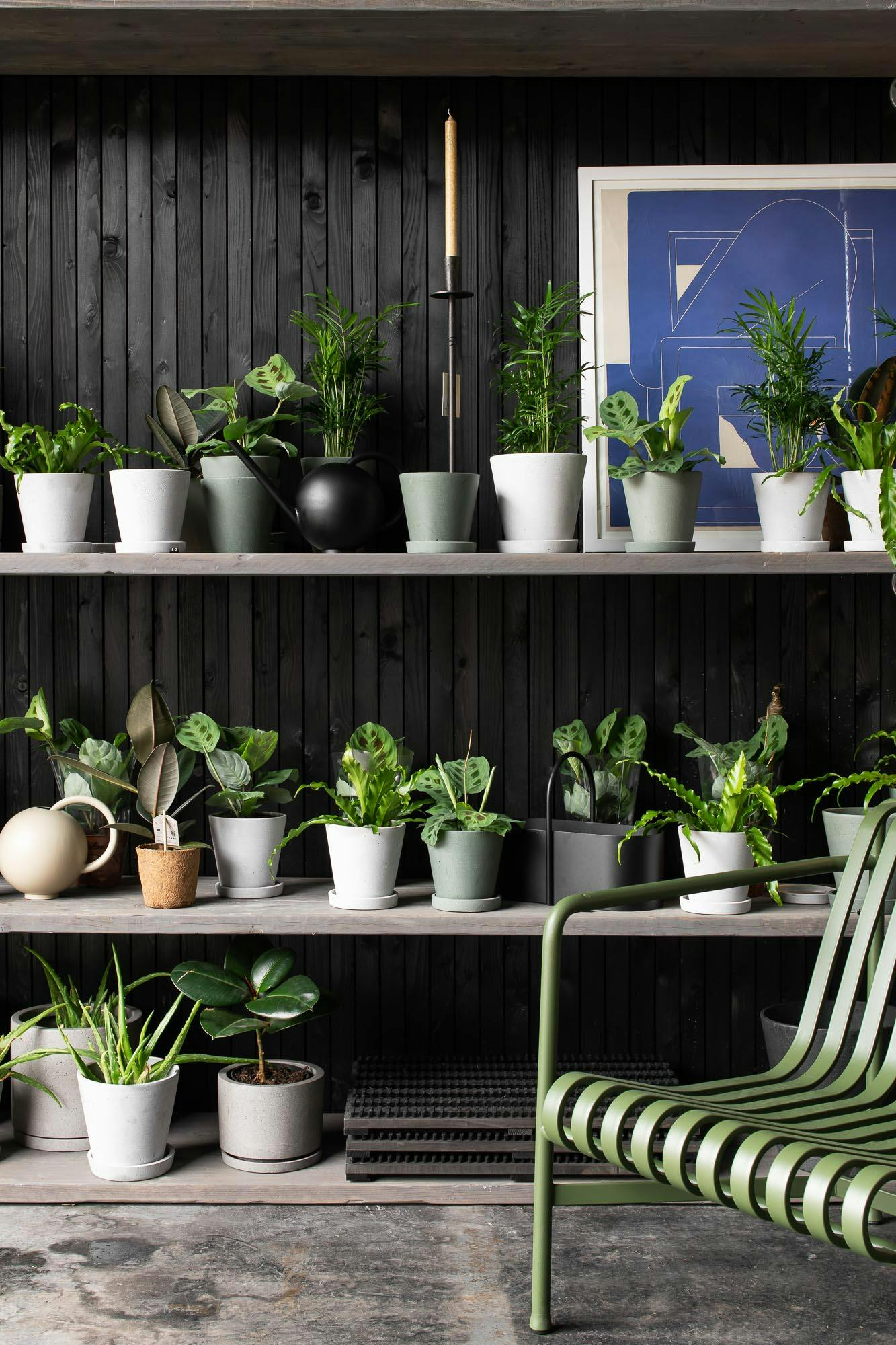 Potted plants on shelves at Central Warehouse for vibrant event networking spaces.