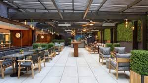 Viceroy Washington