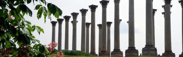 U.S. National Arboretum