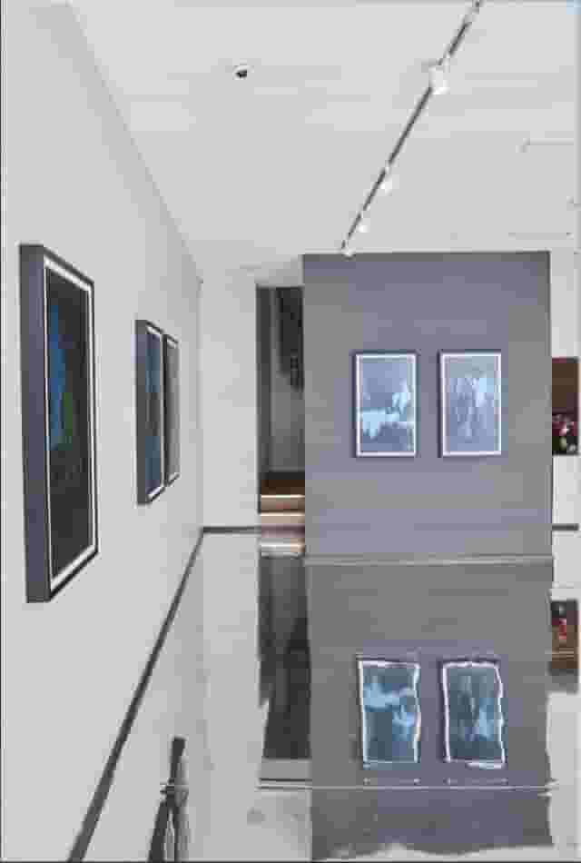The NFT Gallery