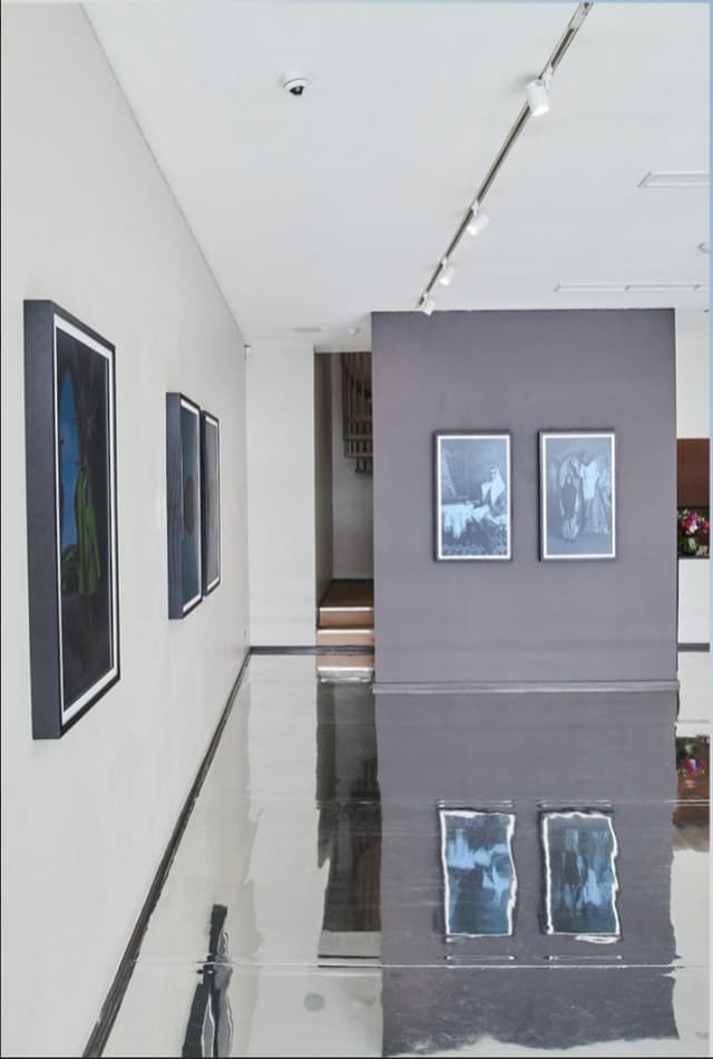 The NFT Gallery