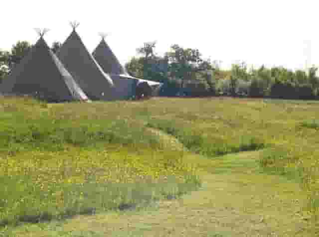Meadows