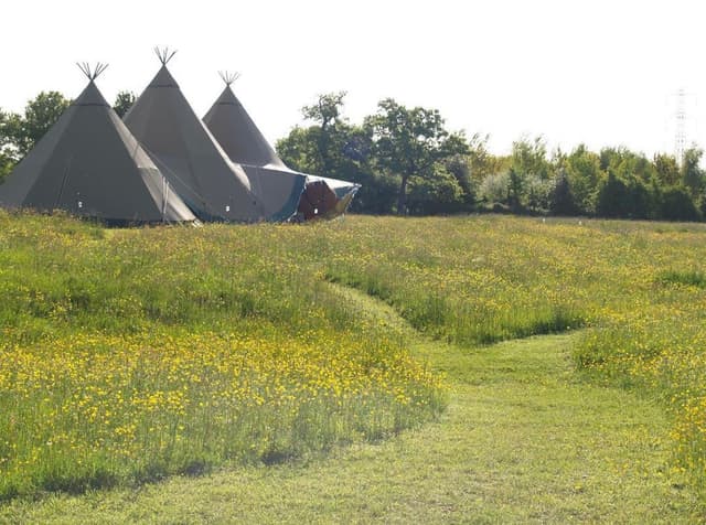 Meadows