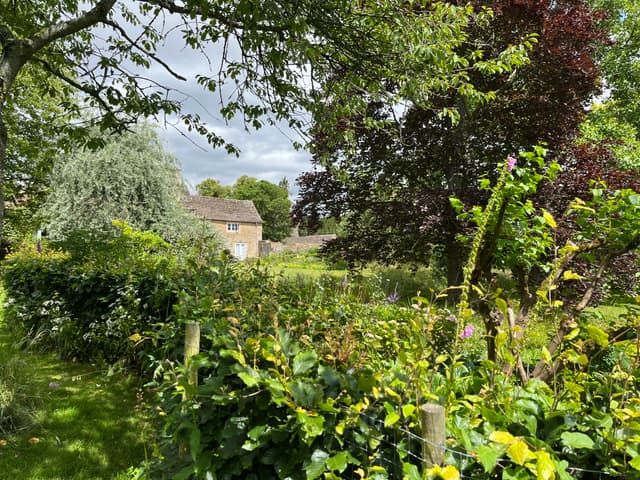 The Farmhouse  