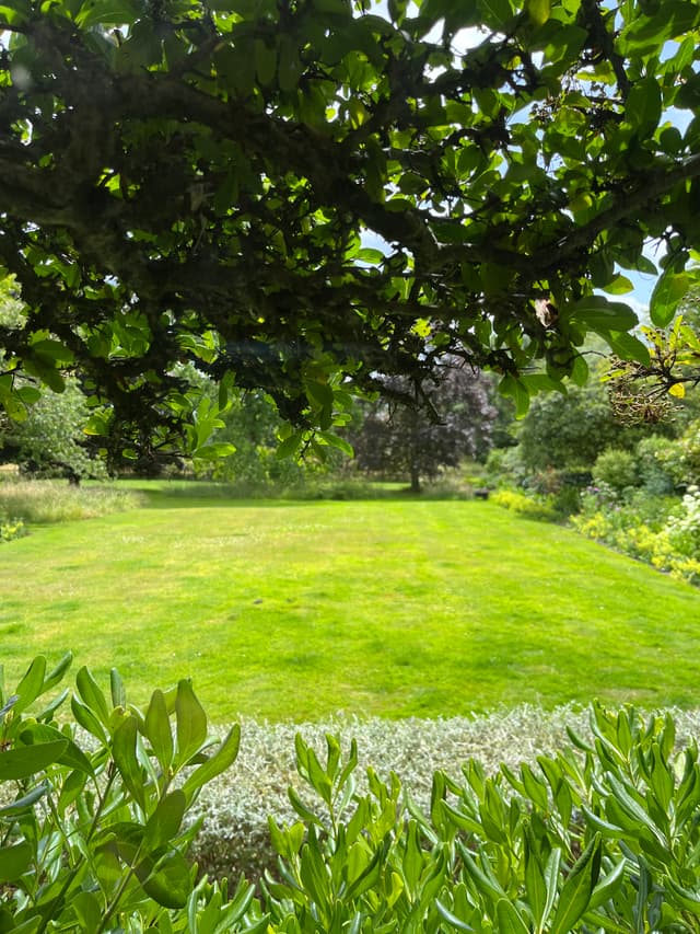 Whole Estate 