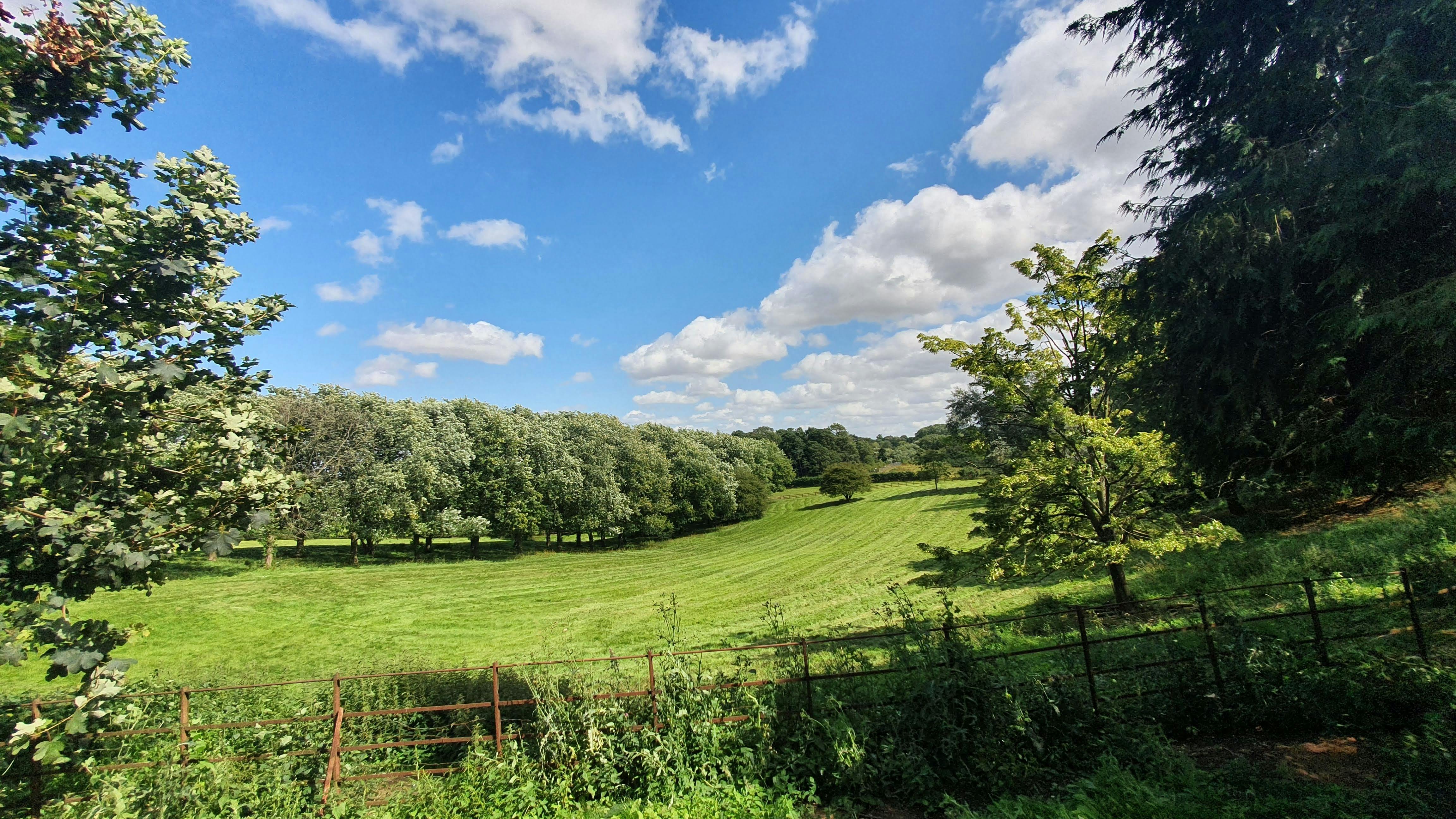 Lake in Toddington Park, serene venue for corporate retreats and team-building events.