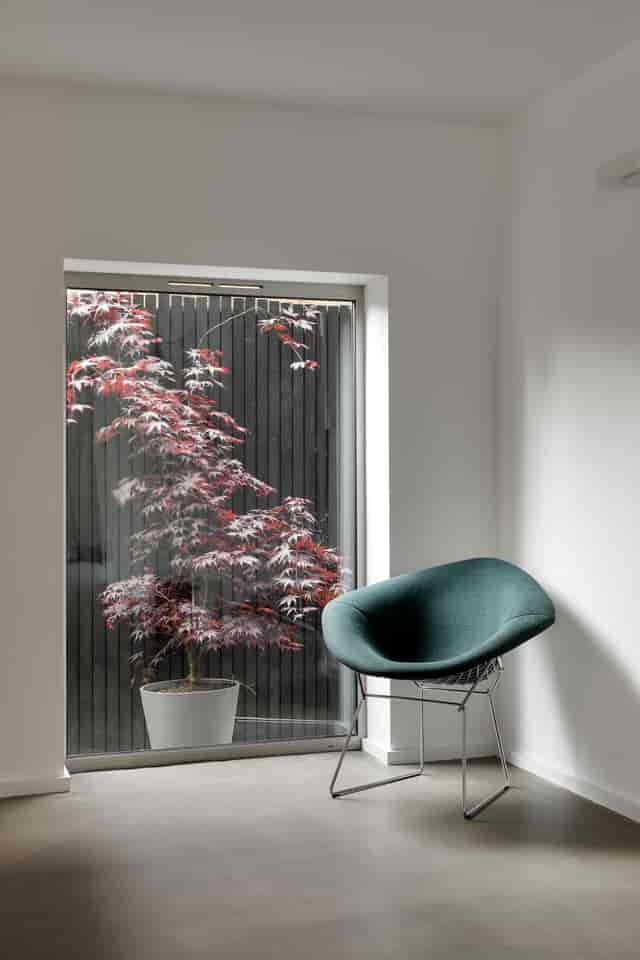 Serene meeting space with stylish chair and vibrant maple tree, perfect for creative events.