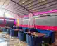 Christmas Party Venues